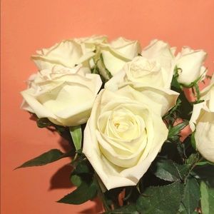 Meet your Posher, Fan